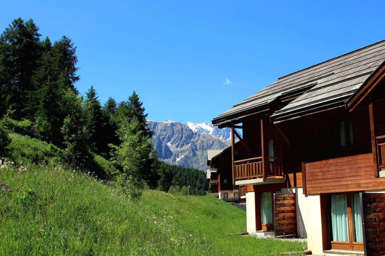 דירות פוי-סן-ונסן Les Chalets Du Parc Aux Etoiles - Cimes Et Neige מראה חיצוני תמונה