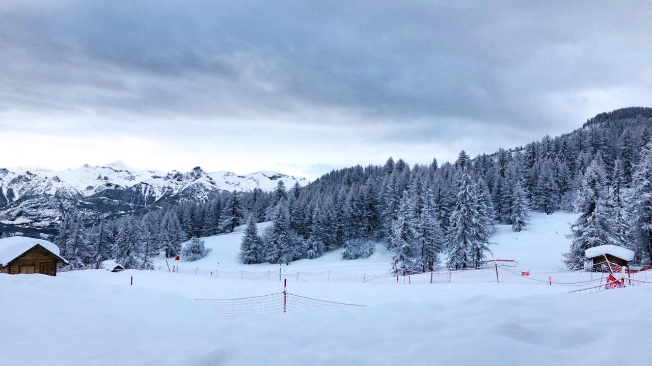 דירות פוי-סן-ונסן Les Chalets Du Parc Aux Etoiles - Cimes Et Neige מראה חיצוני תמונה